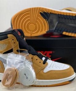 Air Jordan 1 Element Gore-Tex Light Curry