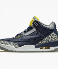 Air Jordan 3 Retro Michigan