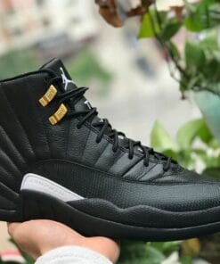 Air Jordan 12 Michigan