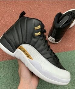 Air Jordan 12 Wings