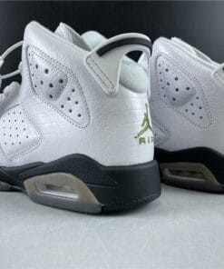 Air Jordan 6 Retro Alligator (GS)