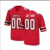 Louisville Cardinals Customizable Football Jersey