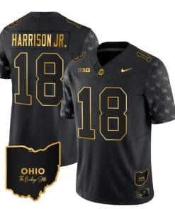 Ohio State Buckeyes Marvin Harrison Jr Jersey #18 College Football Stitched Alternate Black Gold