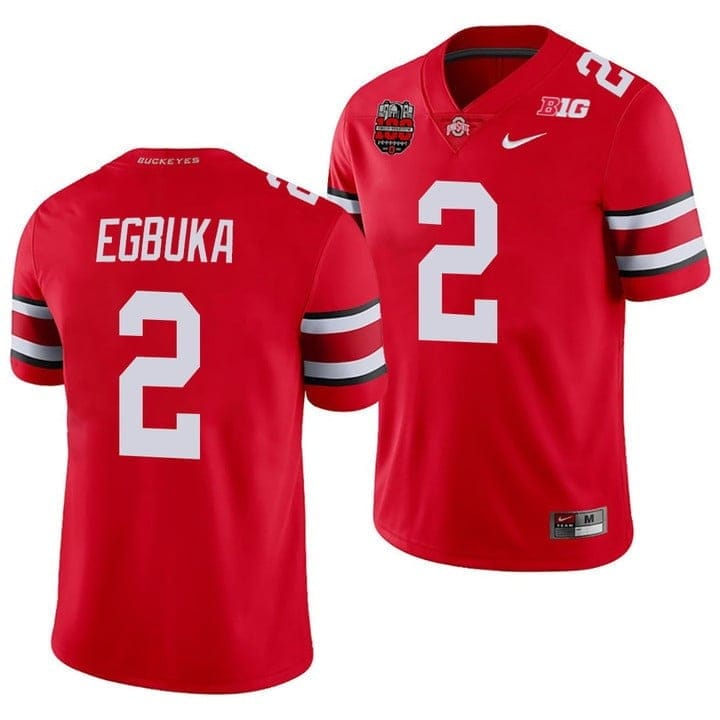 Ohio State Buckeyes Player Jersey - All Stitched - Image 12