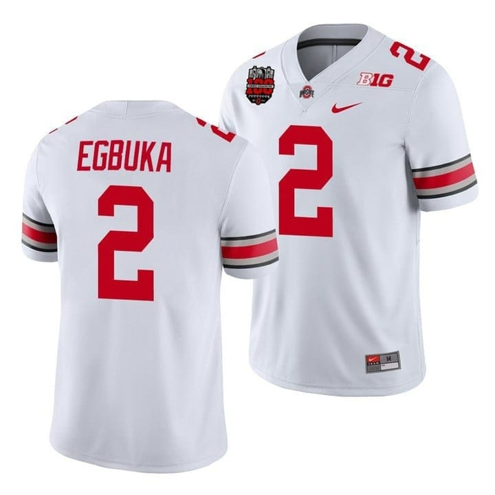 Ohio State Buckeyes Player Jersey - All Stitched - Image 26