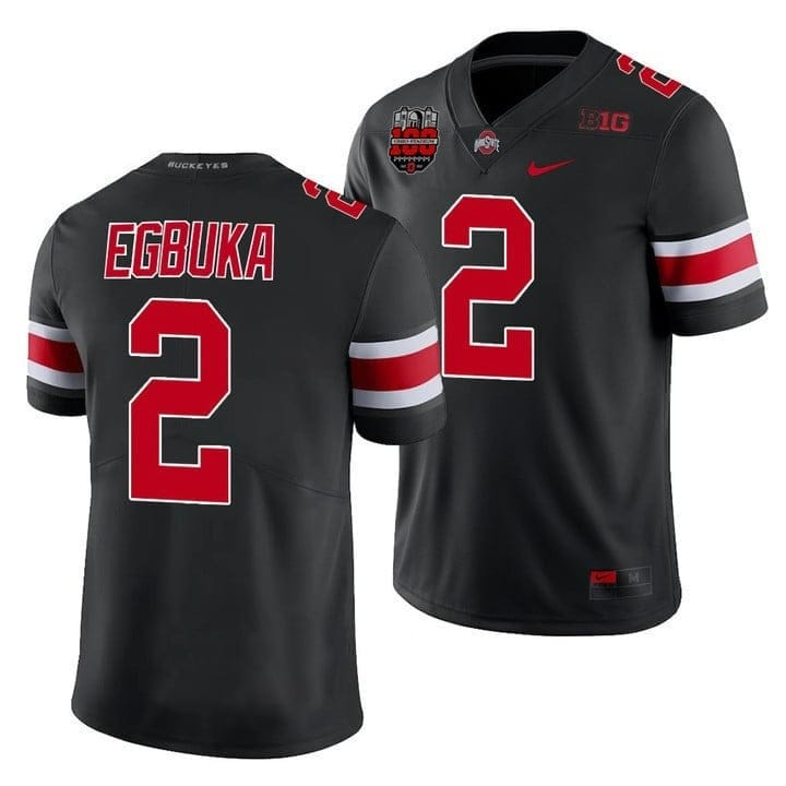 Ohio State Buckeyes Player Jersey - All Stitched - Image 19