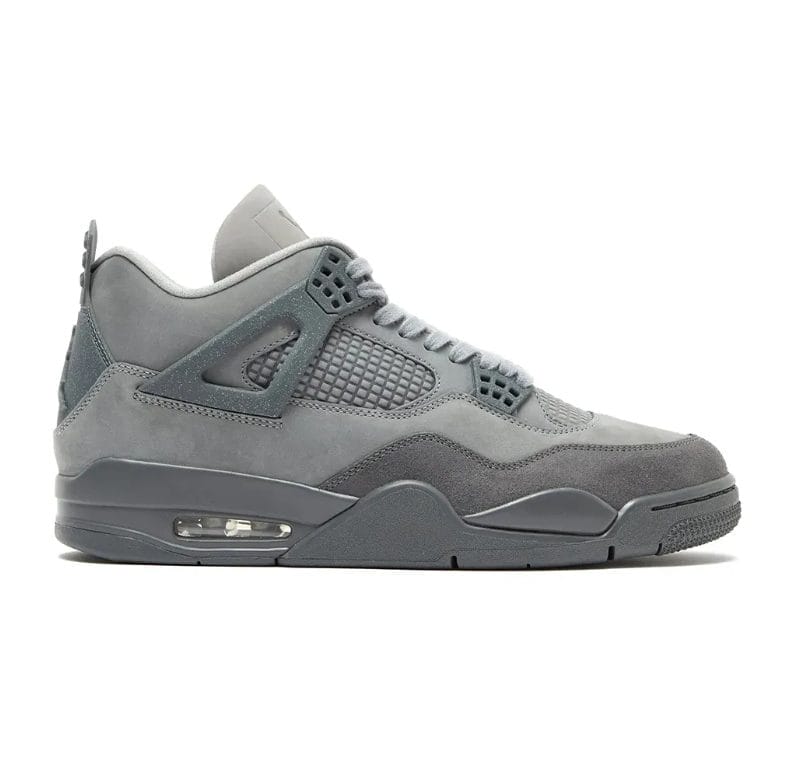Air Jordan 4 SE Paris OlympicsWet Cement Shoes Sneakers