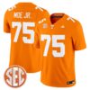 Tennessee Volunteers 2026 Vapor Limited Jersey - All Stitched by Tennessee Volunteers